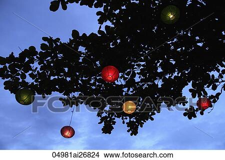 colored lanterns at night hanging from tree View Large Photo Image Picture - colored lanterns at night hanging from tree. Fotosearch