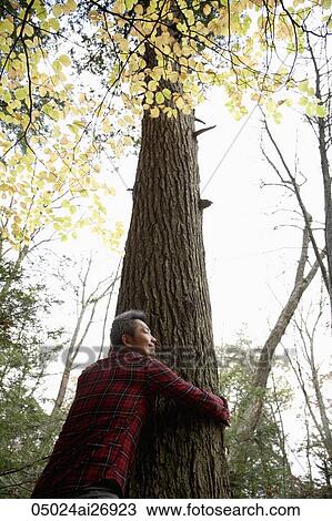 man hugging tree shot from low angle View Large Photo Image Stock Image - man hugging tree shot from low angle. Fotosearch