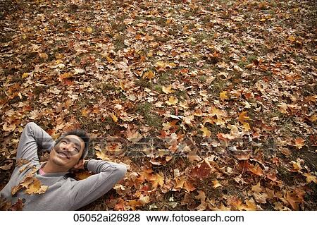 man laying down on fallen leaves and smiling View Large Photo Image Stock Photo - man laying down on fallen leaves and smiling. Fotosearch