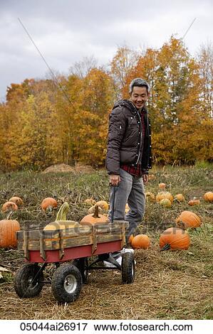 man pulling wagon with pumpkins View Large Photo Image Stock Photo - man pulling wagon with pumpkins. Fotosearch
