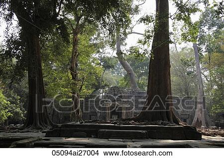 Ruins of Angkor Wat surrounded by trees View Large Photo Image Picture - Ruins of Angkor Wat surrounded by trees. Fotosearch