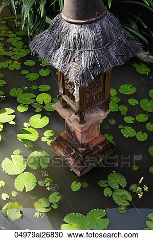 thatched light in lilly pond View Large Photo Image Stock Image - thatched light in lilly pond. Fotosearch