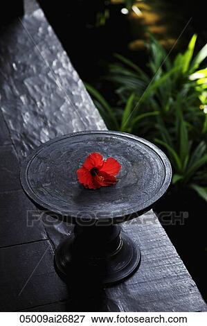 Stock Photo - wooden dish with red hibiscus. Fotosearch