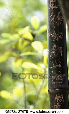 Carved Chinese character into bamboo. View Large Photo Image Stock Photo - Carved Chinese character into bamboo.. Fotosearch