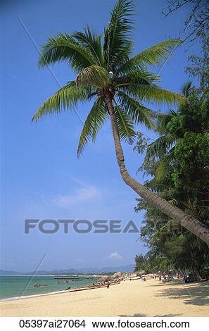Picture - China, Hainan Island, Sanya, Beach Scene at Tianya-Haijiao Tourist Zone. Fotosearch