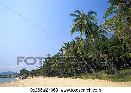 China, Hainan Island, Sanya, Beach Scene at Tianya-Haijiao Tourist Zone View Large Photo Image Stock Image - China, Hainan Island, Sanya, Beach Scene at Tianya-Haijiao Tourist Zone. Fotosearch