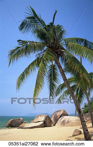 China, Hainan Island, Sanya, Beach Scene at Tianya-Haijiao Tourist Zone View Large Photo Image Stock Image - China, Hainan Island, Sanya, Beach Scene at Tianya-Haijiao Tourist Zone. Fotosearch