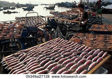 China, Hong Kong, Cheung Chau Island, Drying Fish View Large Photo Image Stock Photo - China, Hong Kong, Cheung Chau Island, Drying Fish. Fotosearch