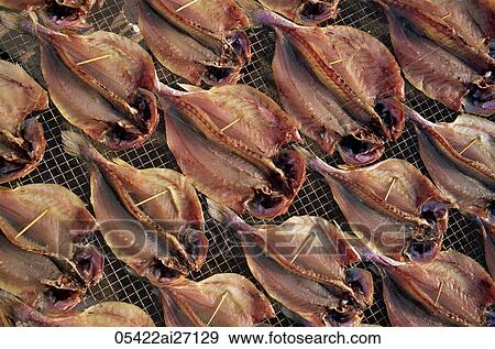 China, Hong Kong, Cheung Chau Island, Drying Fish View Large Photo Image Stock Photo - China, Hong Kong, Cheung Chau Island, Drying Fish. Fotosearch