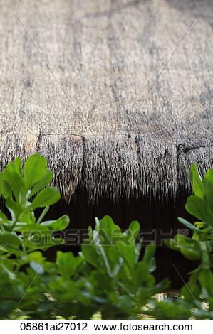 cropped shot of thatched hut View Large Photo Image Stock Image - cropped shot of thatched hut. Fotosearch