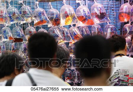Stock Photography - Different colored fish in plastic bags for sale. Fotosearch