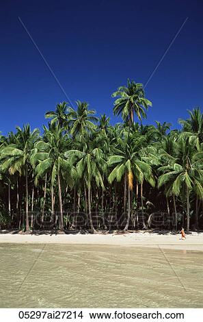 Philippines, Palawan, Bascuit Bay, El Nido, Girl Walking on Tropical Beach View Large Photo Image Picture - Philippines, Palawan, Bascuit Bay, El Nido, Girl Walking on Tropical Beach. Fotosearch