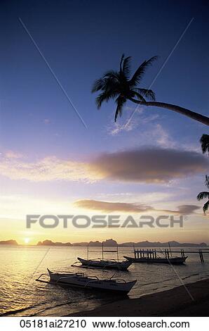 Philippines, Palawan, Bascuit Bay, El Nido, Outriggers on Tropical Beach at Sunset View Large Photo Image Stock Image - Philippines, Palawan, Bascuit Bay, El Nido, Outriggers on Tropical Beach at Sunset. Fotosearch