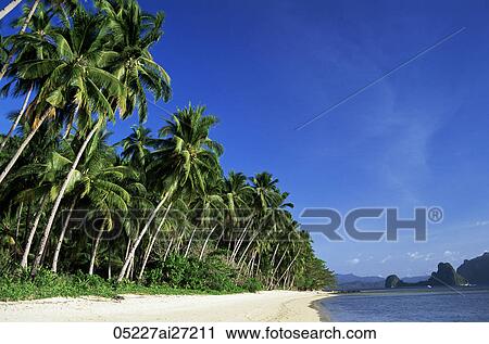 Philippines, Palawan, Bascuit Bay, El Nido, Beach Scene View Large Photo Image Stock Image - Philippines, Palawan, Bascuit Bay, El Nido, Beach Scene. Fotosearch