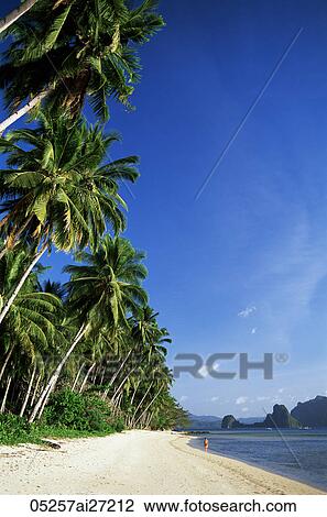 Philippines, Palawan, Bascuit Bay, El Nido, Beach Scene View Large Photo Image Stock Image - Philippines, Palawan, Bascuit Bay, El Nido, Beach Scene. Fotosearch