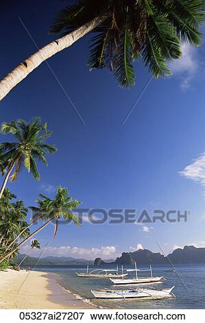 Philippines, Palawan, Bascuit Bay, El Nido, Outriggers on Tropical Beach View Large Photo Image Stock Photo - Philippines, Palawan, Bascuit Bay, El Nido, Outriggers on Tropical Beach. Fotosearch