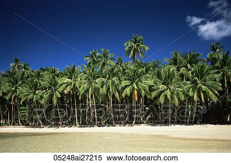 Stock Photography - Philippines, Palawan, Bascuit Bay, El Nido, Beach Scene. Fotosearch