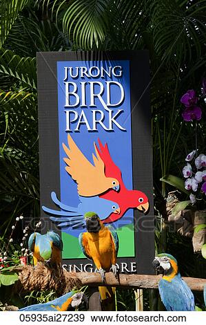 Stock Photo - Singapore, Jurong Bird Park. Fotosearch