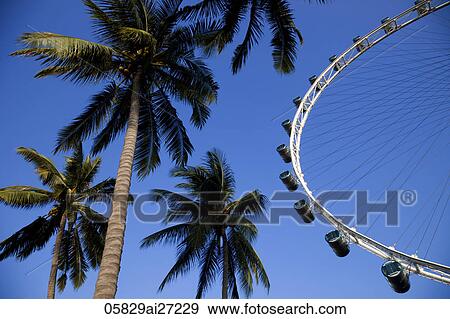 Singapore, Singapore Flyer View Large Photo Image Stock Photo - Singapore, Singapore Flyer. Fotosearch
