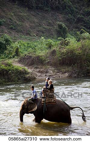 Stock Image - Thailand, Chiang Mai, Elephant Camp, Tourist Elephant Trekking. Fotosearch