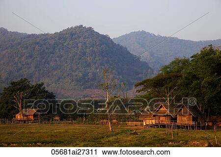 Stock Image - Thailand, Golden Triangle, Chiang Mai, Elephants. Fotosearch