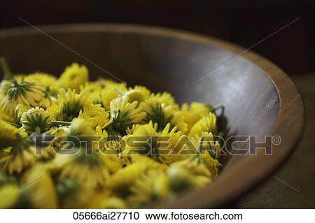 Stock Image - yellow chrysanthemum flowers in wooden bowl. Fotosearch