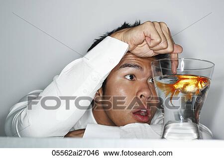 young man looking at gold fish in glass and touching it with his finger View Large Photo Image Stock Photograph - young man looking at gold fish in glass and touching it with his finger. Fotosearch