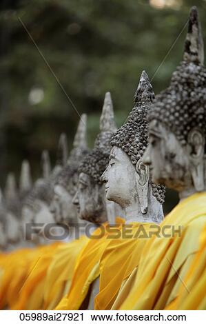Buddhas in a row at Wat Yai Chaya Mongkol, Thailand View Large Photo Image Stock Image - Buddhas in a row at Wat Yai Chaya Mongkol, Thailand. Fotosearch