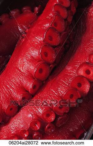 Detail of Octopus Tentacles. Japan, Tokyo, Tsukiji View Large Photo Image Stock Image - Detail of Octopus Tentacles. Japan, Tokyo, Tsukiji. Fotosearch