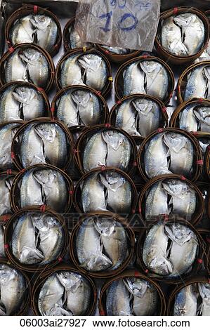 Stock Photo - Fish in Bamboo containers, Bangkok market. Fotosearch