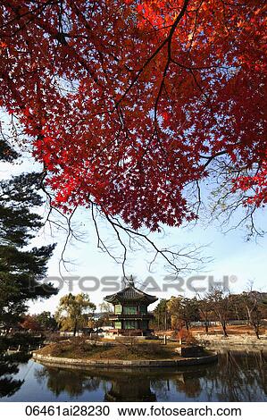 Gyeongbokgung Palace, Hyangwonjeong Pavilion, Seoul, Korea View Large Photo Image Stock Image - Gyeongbokgung Palace, Hyangwonjeong Pavilion, Seoul, Korea. Fotosearch
