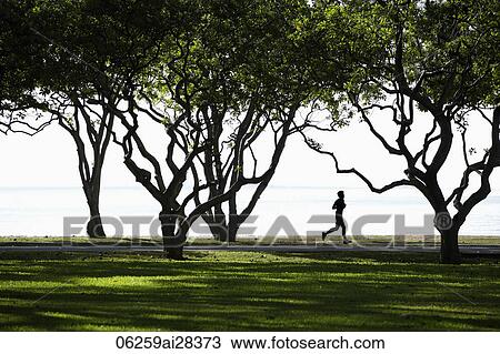 Man jogging in park by the ocean View Large Photo Image Stock Image - Man jogging in park by the ocean. Fotosearch
