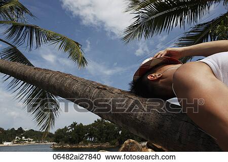 man laying on trunk of palm tree with hat over eyes View Large Photo Image Stock Image - man laying on trunk of palm tree with hat over eyes. Fotosearch