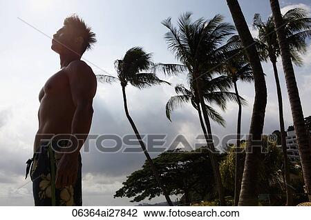 Profile of shirtless man looking up at sky with palm trees in background View Large Photo Image Stock Image - Profile of shirtless man looking up at sky with palm trees in background. Fotosearch