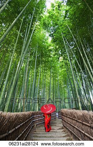 Rear view of woman walking through bamboo forest wearing a red kimono and holding a red umbrella. Japan, Kyoto, View Large Photo Image Picture - Rear view of woman walking through bamboo forest wearing a red kimono and holding a red umbrella. Japan, Kyoto,. Fotosearch