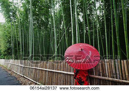 Rear view of woman wearing red Kimono holding red umbrella walking next to bamboo View Large Photo Image Stock Photo - Rear view of woman wearing red Kimono holding red umbrella walking next to bamboo. Fotosearch