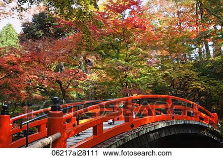 Red bridge at Kitano Temmangu Shrine, Autumn Leaves in the Maple Garden. Kyoto, Japan View Large Photo Image Stock Image - Red bridge at Kitano Temmangu Shrine, Autumn Leaves in the Maple Garden. Kyoto, Japan. Fotosearch