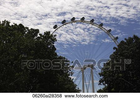 Singapore Flyer between 2 trees View Large Photo Image Stock Photo - Singapore Flyer between 2 trees. Fotosearch