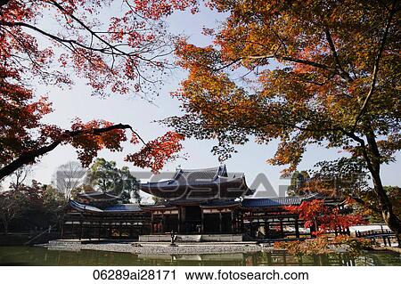 Uji, Byodoin Temple surrounded with trees with Autumn leaves. Kyoto, Japan View Large Photo Image Stock Image - Uji, Byodoin Temple surrounded with trees with Autumn leaves. Kyoto, Japan. Fotosearch