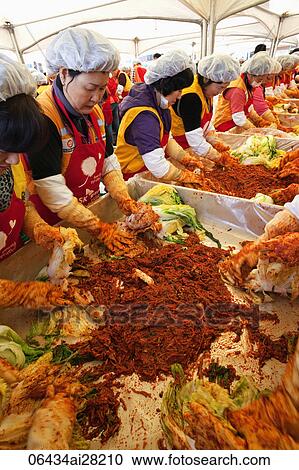 Women making Kimchi, Korea View Large Photo Image Stock Image - Women making Kimchi, Korea. Fotosearch