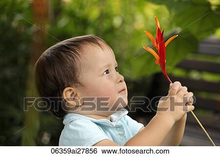 young girl holding flower View Large Photo Image Stock Photograph - young girl holding flower. Fotosearch