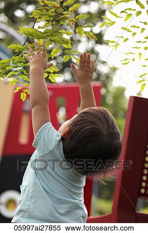 Young girl reaching up to leaves View Large Photo Image Stock Photography - Young girl reaching up to leaves. Fotosearch