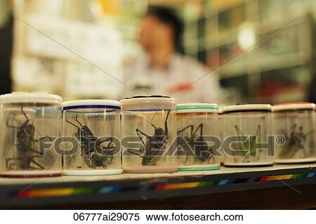 Stock Photography - Large crickets in jars for sale, Shanghai, China. Fotosearch