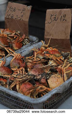 Picture - Live crabs for sale in Chinese market. Fotosearch