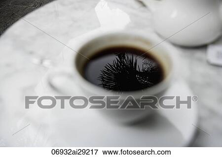 Reflection of palm tree in coffee cup View Large Photo Image Stock Photo - Reflection of palm tree in coffee cup. Fotosearch