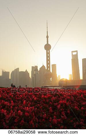Shanghai skyline at sunrise with red flowers in foreground View Large Photo Image Stock Photo - Shanghai skyline at sunrise with red flowers in foreground. Fotosearch