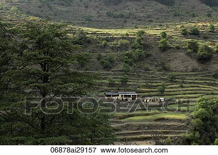 Stock Photo - Terraced land with farm house, Himalayan foothills, India. Fotosearch