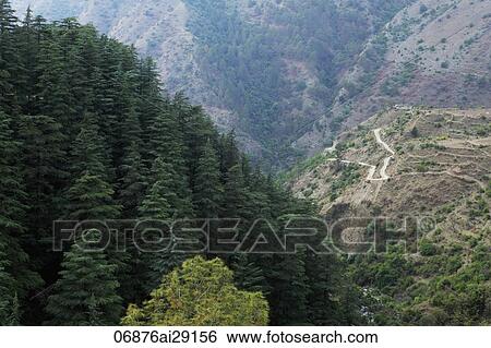 Stock Photograph - The Himalayan foothills, India. Fotosearch