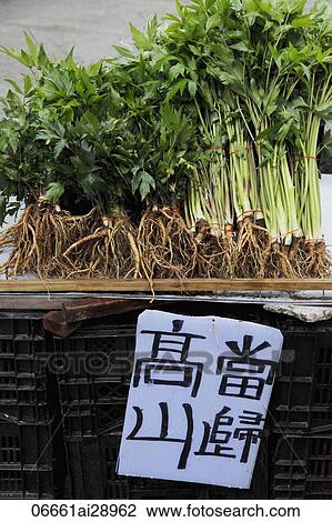 Vegetables for sale in market with sign written in Chinese View Large Photo Image Stock Image - Vegetables for sale in market with sign written in Chinese. Fotosearch