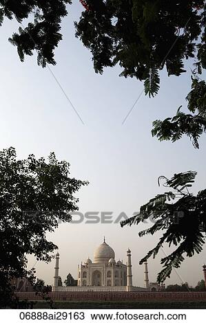 Stock Image - View of the Taj Mahal with trees in foreground, Agra, India. Fotosearch